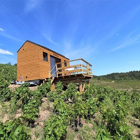 ホテル Tiny House Au Coeur Du Vignoble Beaujolais フルーリー エクステリア 写真