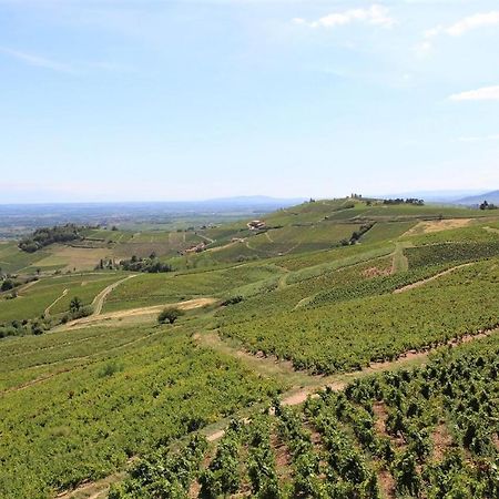 ホテル Tiny House Au Coeur Du Vignoble Beaujolais フルーリー エクステリア 写真