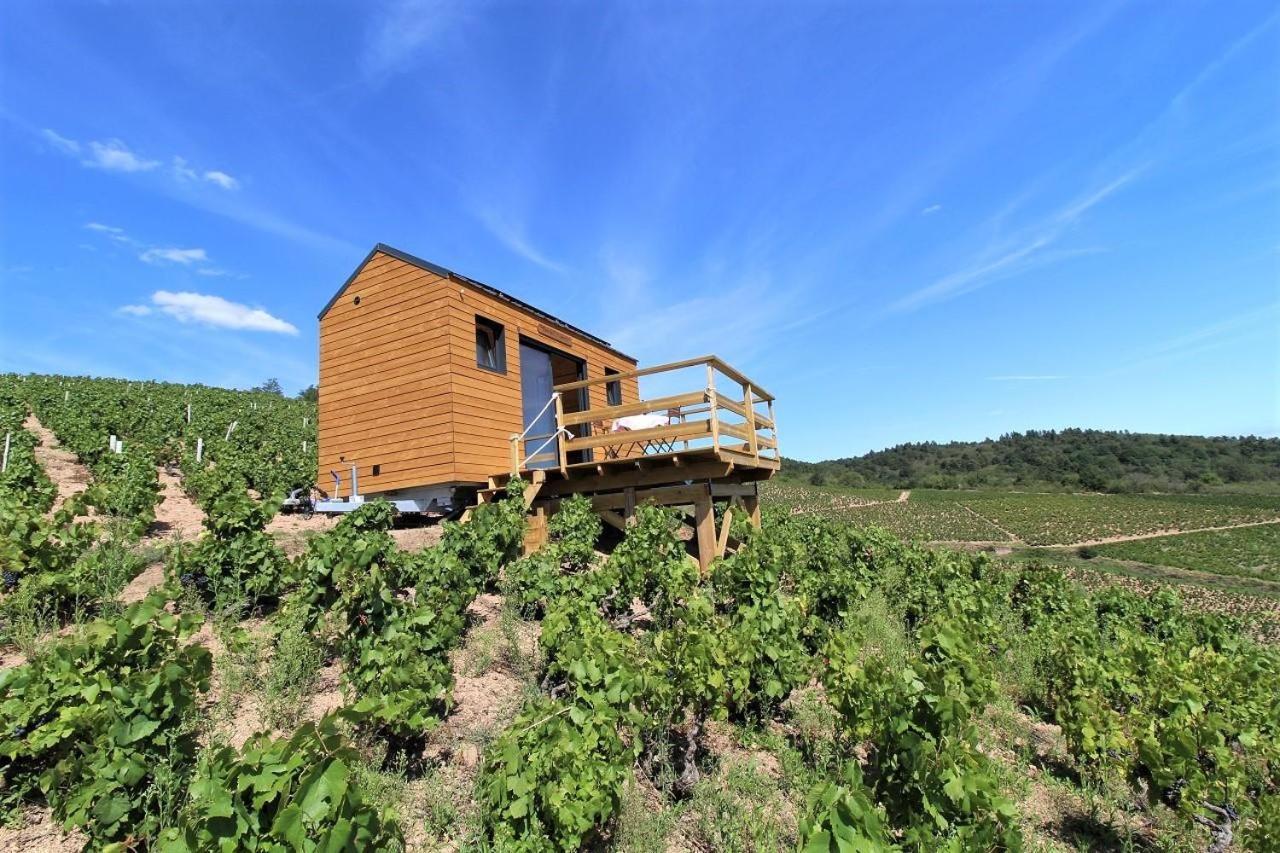 ホテル Tiny House Au Coeur Du Vignoble Beaujolais フルーリー エクステリア 写真