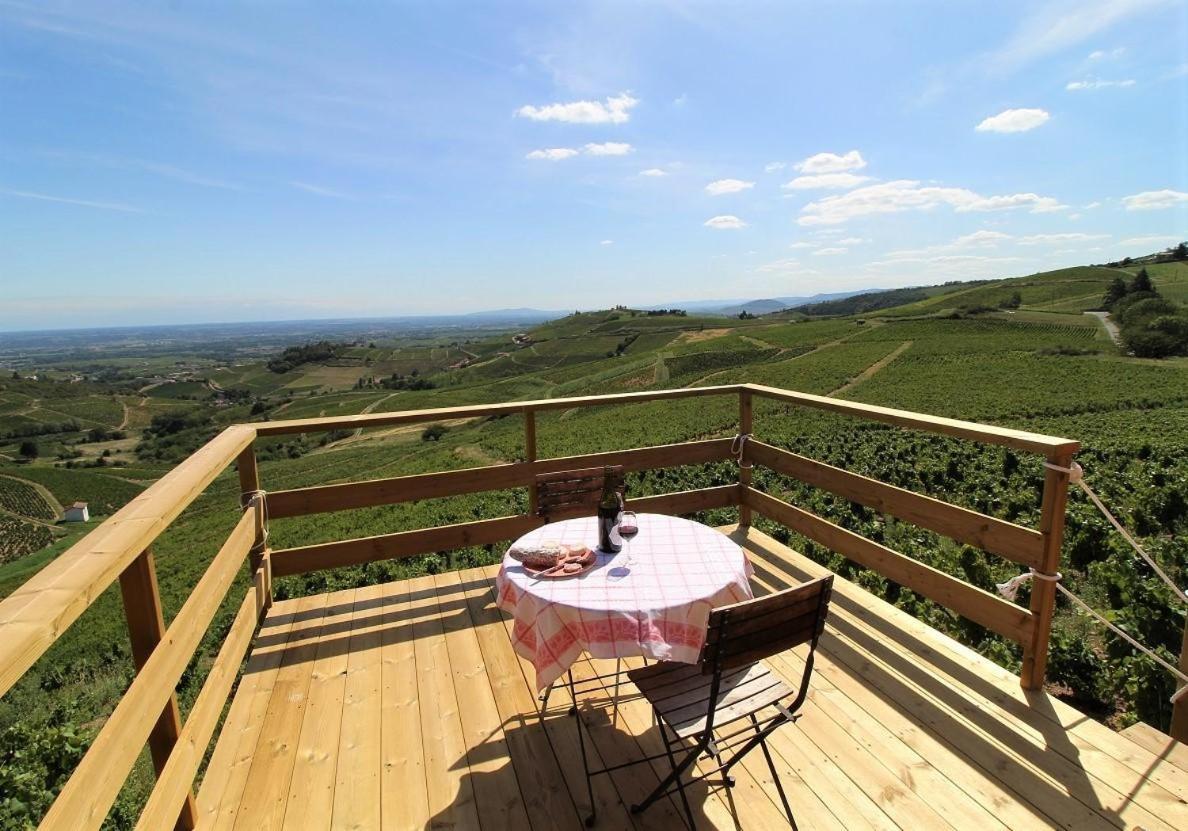 ホテル Tiny House Au Coeur Du Vignoble Beaujolais フルーリー エクステリア 写真