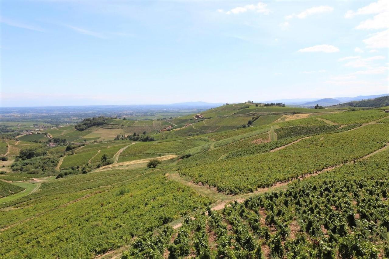 ホテル Tiny House Au Coeur Du Vignoble Beaujolais フルーリー エクステリア 写真
